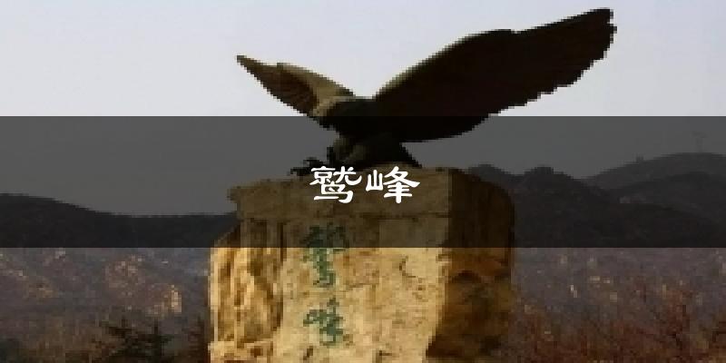 鹫峰天气预报十五天