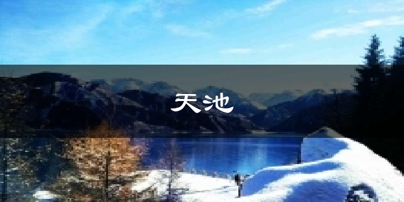 天池天气预报十五天