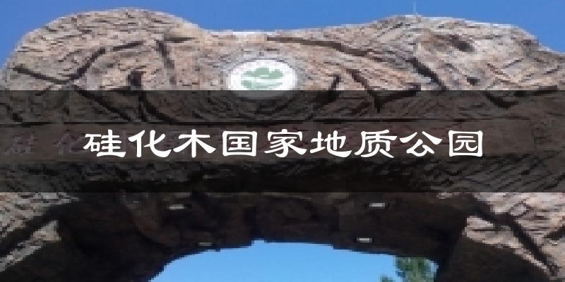 硅化木国家地质公园天气预报十五天