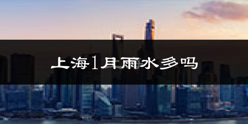 上海1月雨水多吗?