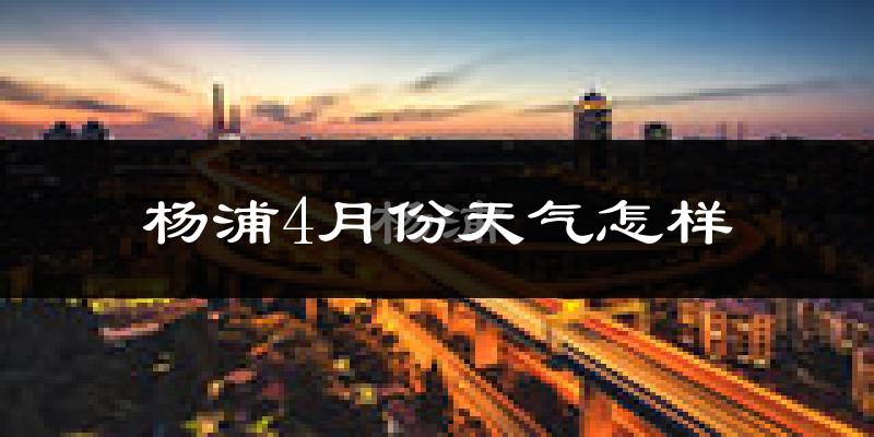 杨浦4月份天气怎样?杨浦四月冷不冷?