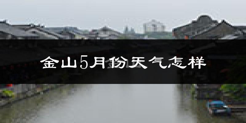 金山5月份天气怎样?金山五月冷不冷?