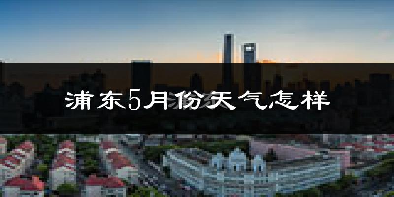 浦东5月份天气怎样?浦东五月冷吗?