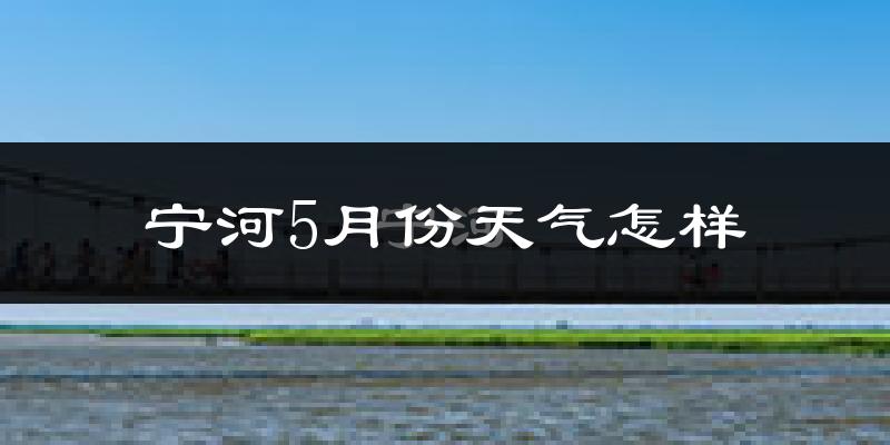 宁河区5月份天气如何?很热吗?