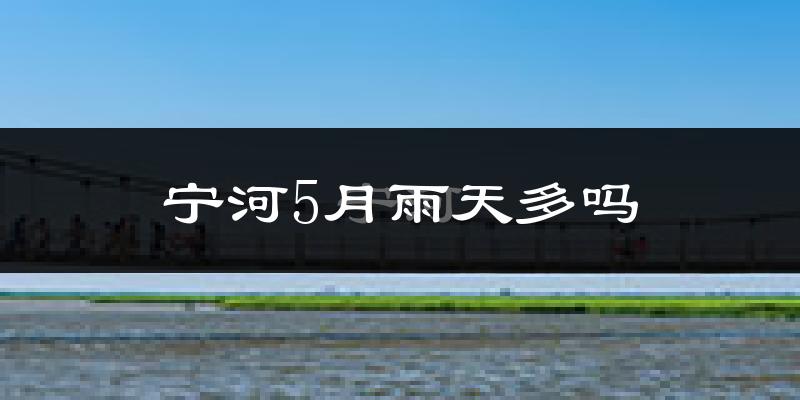 宁河5月雨天多吗?