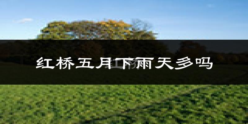 红桥五月下雨天多吗?红桥5月份降雨量多少?