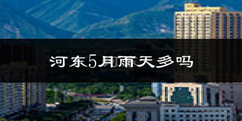 河东5月雨天多吗?
