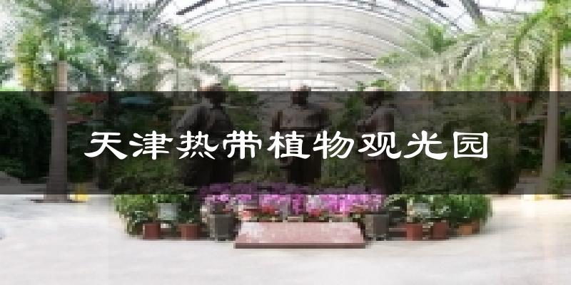 天津热带植物观光园天气预报十五天
