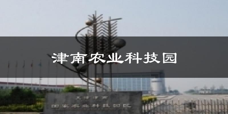 津南农业科技园天气预报十五天