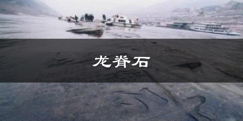龙脊石天气预报十五天