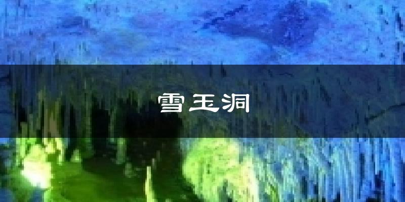 雪玉洞天气预报十五天