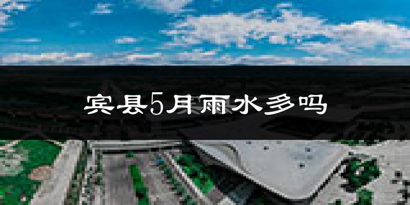 宾县5月雨水多吗?