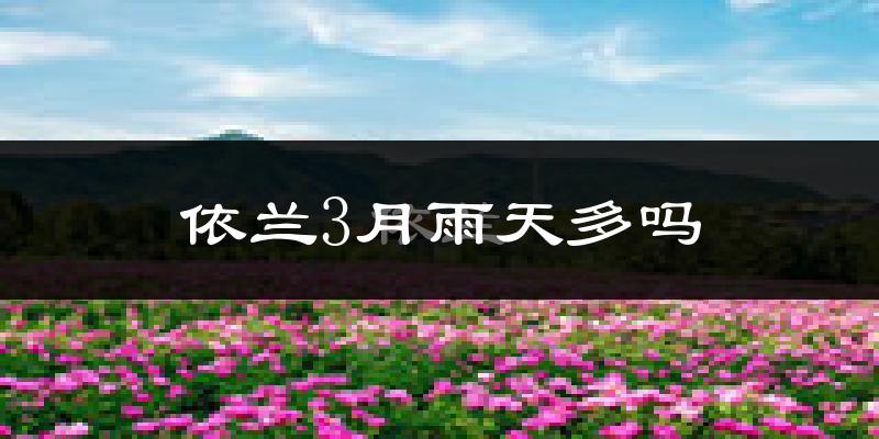 依兰3月雨天多吗?