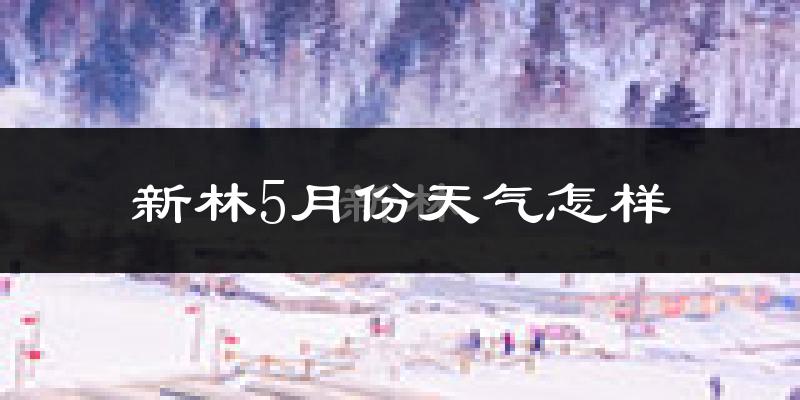新林5月份天气怎样?新林五月冷不冷?