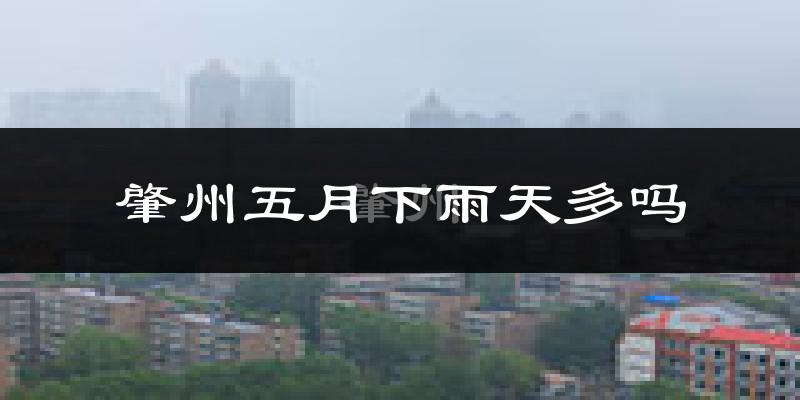 肇州五月下雨天多吗?肇州5月份降雨量多少?