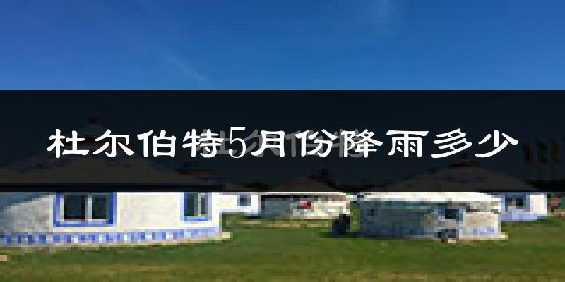杜尔伯特5月份降雨多少?