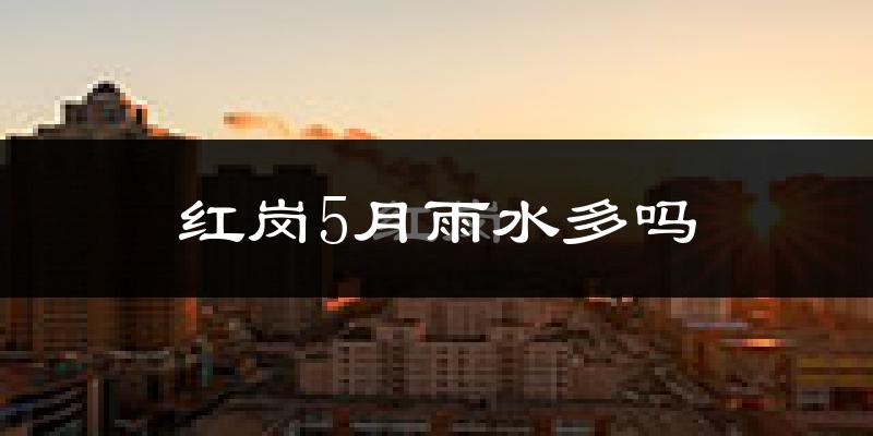 红岗5月雨水多吗?