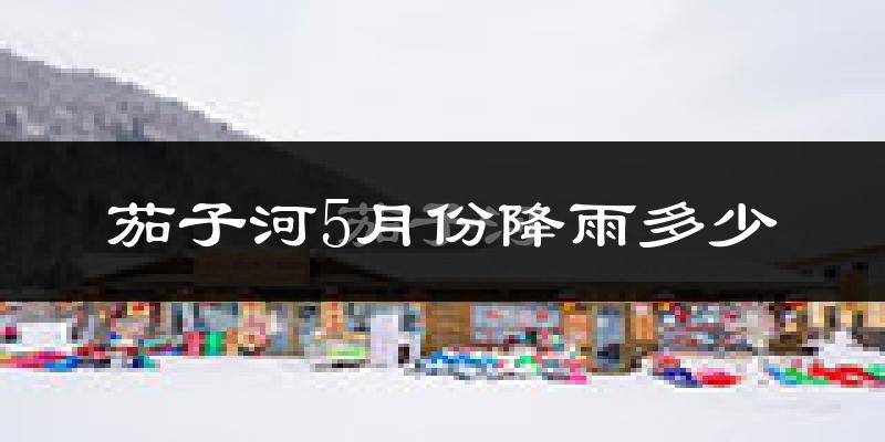 茄子河5月份降雨多少?