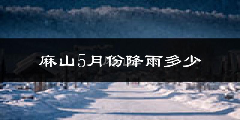 麻山5月份降雨多少?