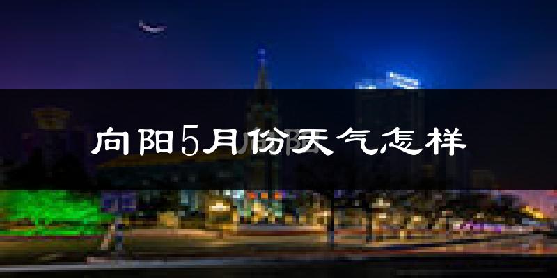 向阳5月份天气怎样?向阳五月冷吗?