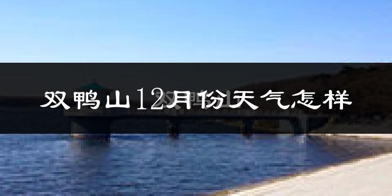 双鸭山12月份天气怎样?双鸭山十二月冷吗?