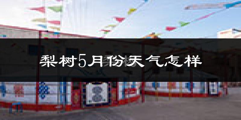 梨树县5月份天气如何?很热吗?