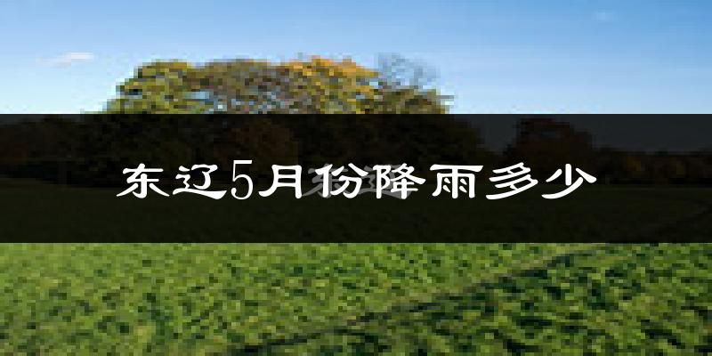 东辽5月份降雨多少?
