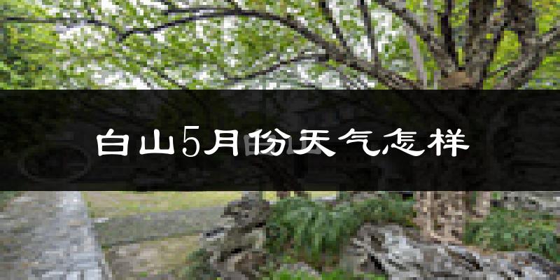 白山市5月份天气如何?冷热情况分析