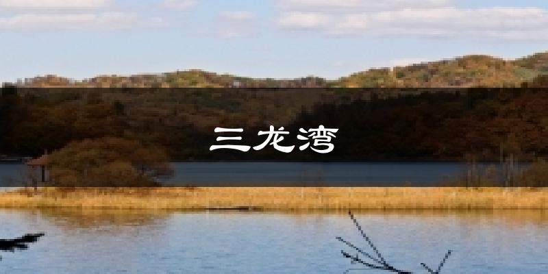 三龙湾天气预报十五天