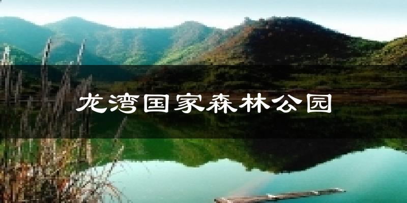 龙湾国家森林公园天气预报十五天