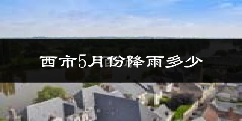 西市5月份降雨多少?