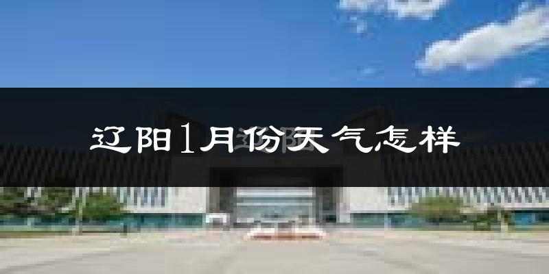 辽阳市1月份天气如何?很冷吗?