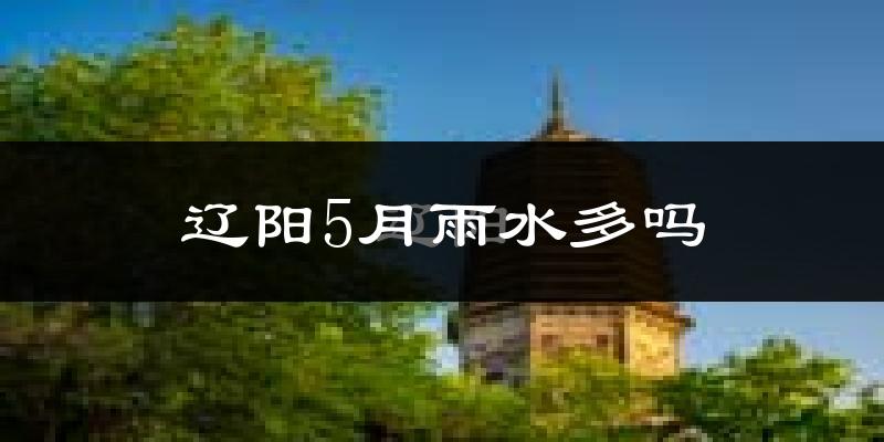 辽阳5月雨水多吗?
