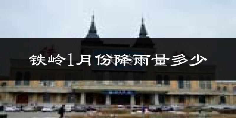 铁岭1月份降雨量多少?铁岭一月下雨多吗?