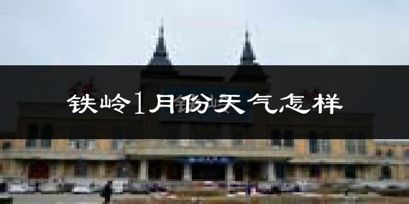 铁岭市1月份天气如何?很冷吗?