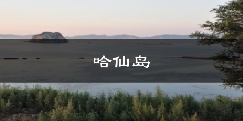 哈仙岛天气预报十五天