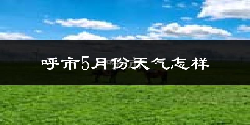 呼市5月份天气怎样?呼市五月冷吗?