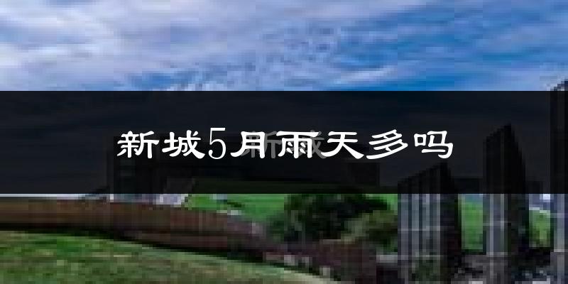 新城5月雨天多吗?