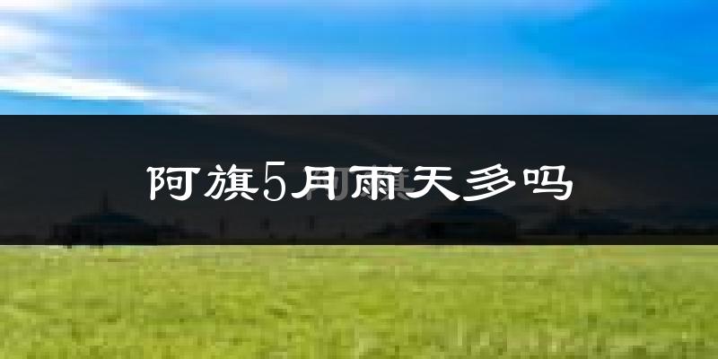 阿旗5月雨天多吗?