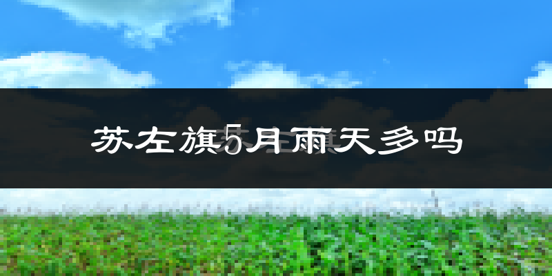 苏左旗5月雨天多吗?