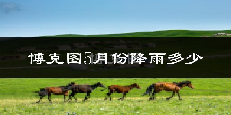 博克图5月份降雨多少?
