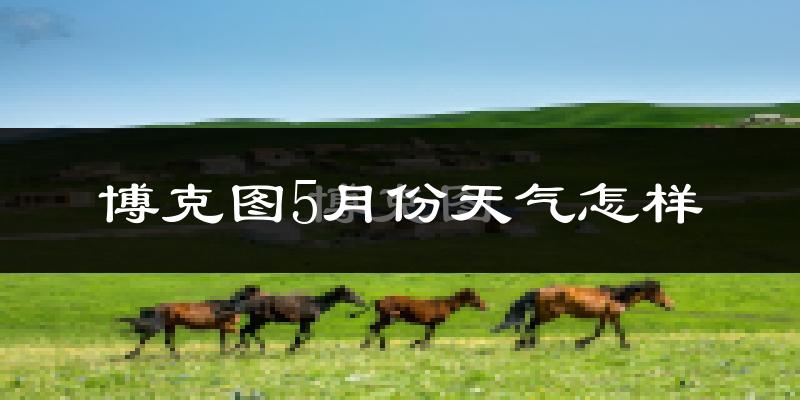 博克图5月份天气如何?很冷吗?