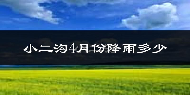 小二沟4月份降雨多少?