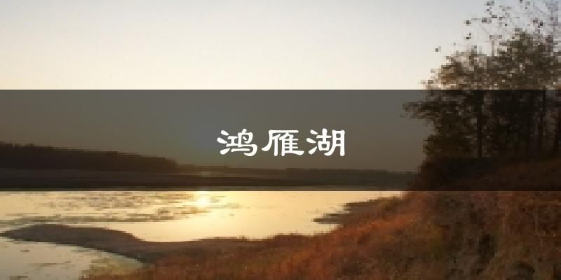 鸿雁湖天气预报十五天