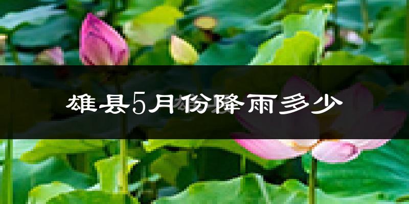 雄县5月份降雨多少?