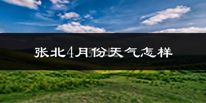 张北县4月份天气如何?冷吗?过去两年天气数据分析