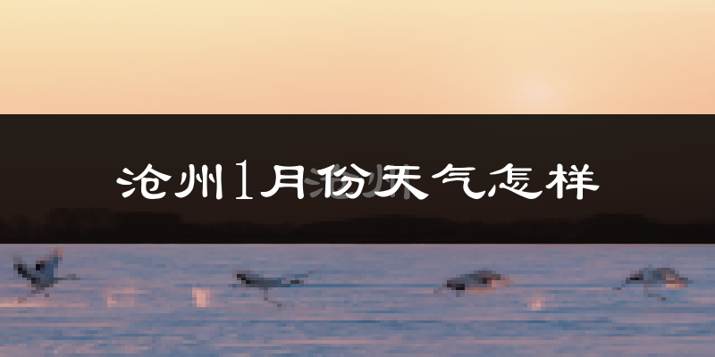 沧州市1月份天气如何?很冷吗?