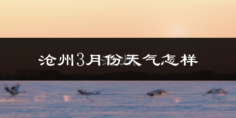 沧州市3月份天气如何?冷吗?