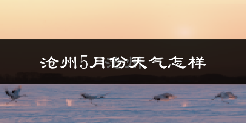 沧州5月份天气如何?很热吗?