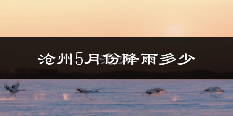 沧州5月份降雨多少?